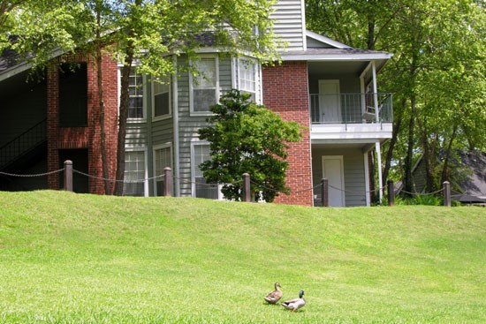 Willows at Wright Island Apartments